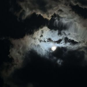 Meet your Posher, Molly